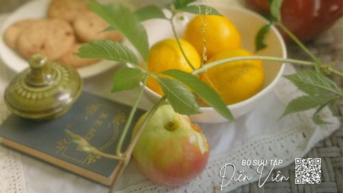 BỘ SƯU TẬP ĐIỀN VIÊN - CUỘC SỐNG THẢNH THƠI, THƯ GIÃN NƠI SÂN VƯỜN NHỎ