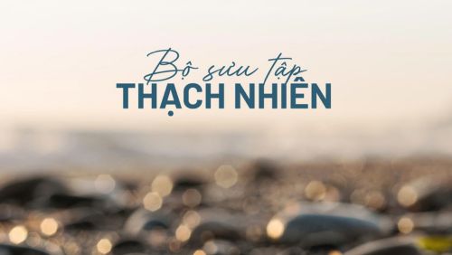 BỘ SƯU TẬP THẠCH NHIÊN: NGÔN NGỮ KIẾN TRÚC TỪ NHỮNG MẢNH GHÉP TỰ NHIÊN